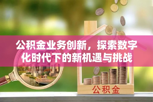 信宜公积金业务创新，探索数字化时代下的新机遇与挑战